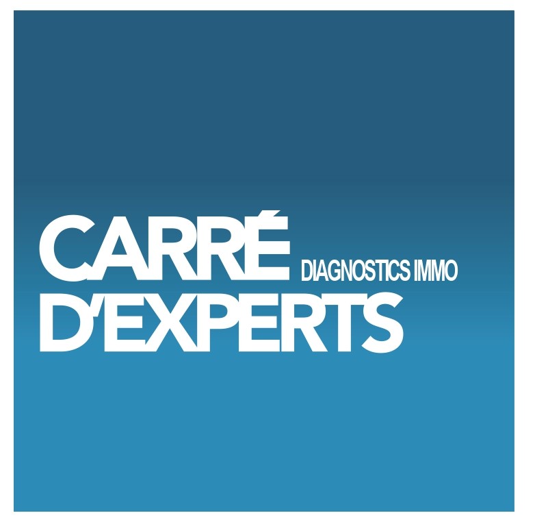 Carr&eacute; d'Experts